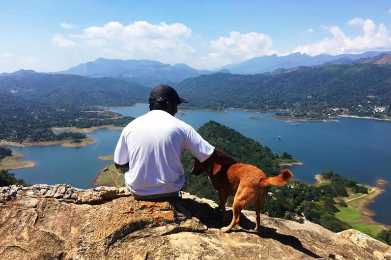 Kandy: Hidden Cave Temple Forest Hike & Lake View Summit