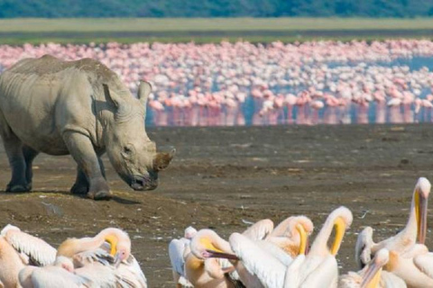 Nationaal park Lake Nakuru