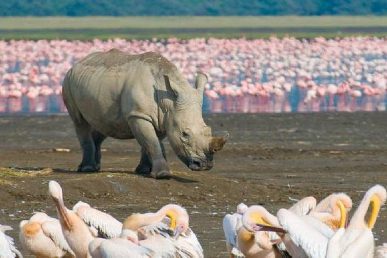 Parque Nacional do Lago Nakuru