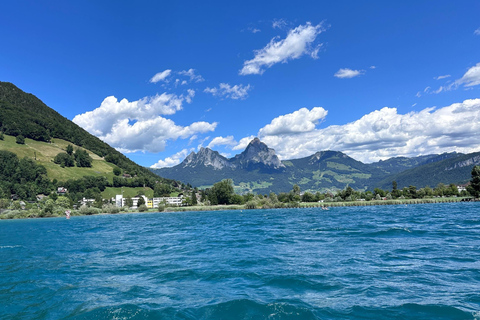 Lake Lucerne: Private Luxury Boat Cruise