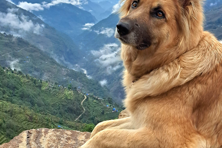 Valle del Tsum: Trekking de 16 días