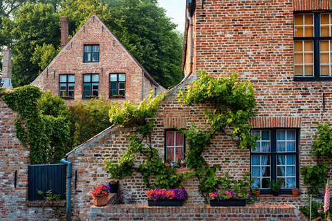 Bruges : Une promenade parfaite avec un habitant