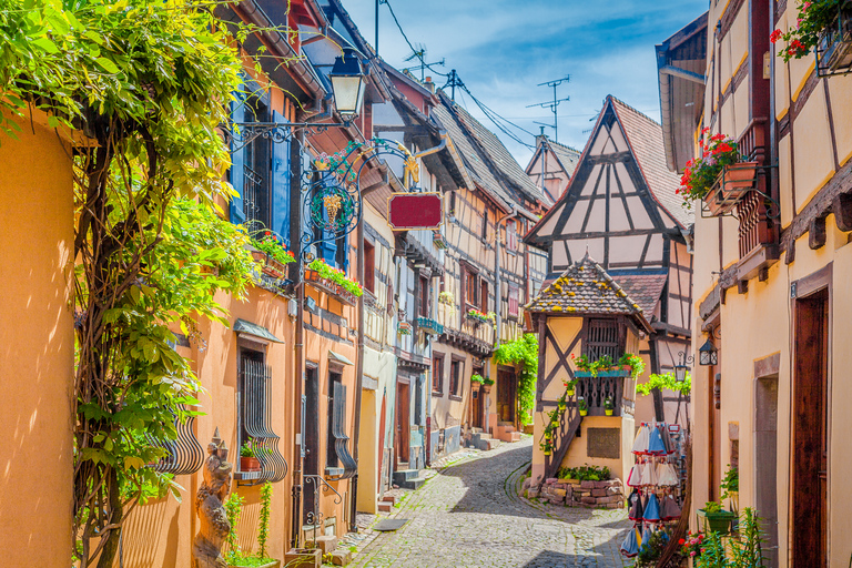 The 4 Wonders of Alsace Day Tour from Colmar