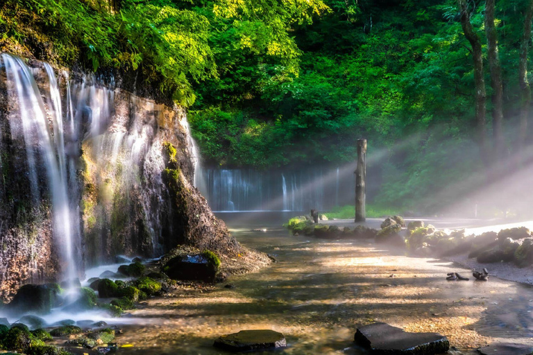 Tour di un giorno di Karuiizawa Hyland Shrine Koedo KawagoeUscita Shinjuku Ovest