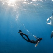 From Ubud: Guided Boat Manta Snorkeling & Kelingking Beach