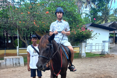 Bali : Beach Horse Riding Experience & Hidden Waterfall Beach Horse Riding Experience + Hidden Waterfall