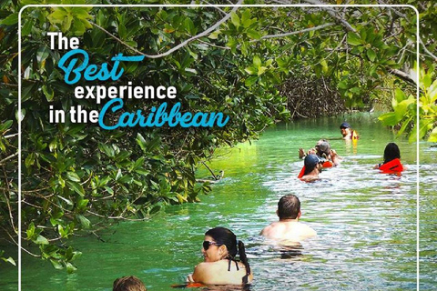 Tulum: Sian Ka'an Biosphere Reserve Ancient Maya Canals Tour
