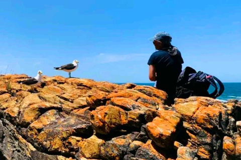 Senderismo Costero Sendero Sacramento: Puerto Elizabeth