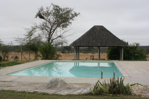 Von Johannesburg aus: 3-tägige Krüger-Nationalpark-Safari