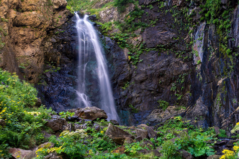 From Kazbegi: Gergeti Trinity Church & Waterfall Day group