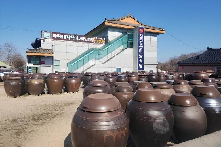 Seoul to DMZ: Waterfall, Hanok Village and Suspension Bridge Basic DMZ Tour (Myeongdong)