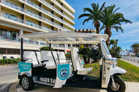 Alicante Tuk Tuk Overview Tour