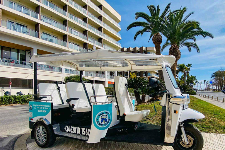 Alicante Tuk Tuk Overview Tour