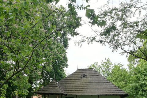 From Craiova: Bucharest Day Tour