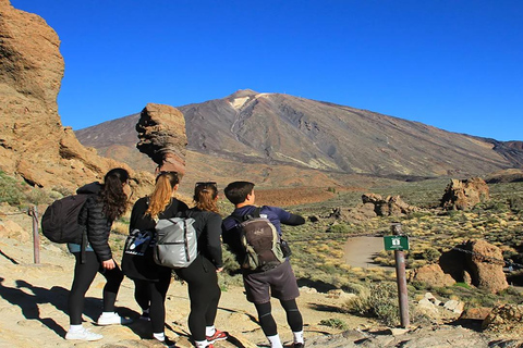 Do sul de Tenerife: Excursão de meio dia ao Monte TeideServiço de busca nos pontos de encontro no sul de Tenerife