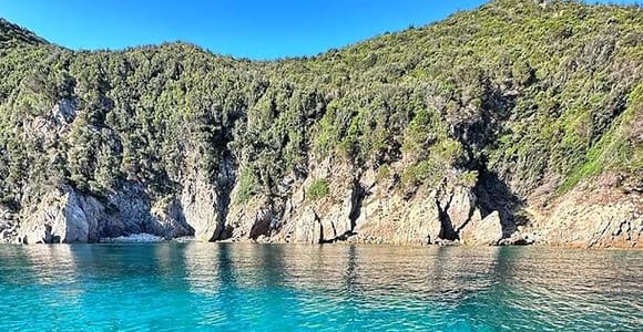 Ajaccio: Half–Day Tour to the Sanguinaires Islands