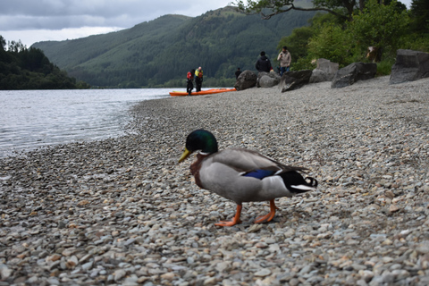 From Glasgow: Lochs & Castles of the West Highlands