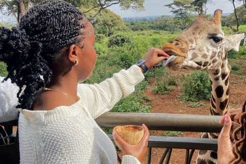 ZANZIBAR: Zakir Wildlife Park Feeding Giraffes, Zebra & More THIS OPTION FOR GUESTS STAYING FAR FROM SOUTH COAST AREAS