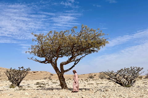 Safari nel deserto: Tour al tramonto del quartiere vuoto