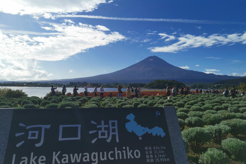 Osaka to Tokyo 3-Day Private Tour: Luxury Alphard & Mt. Fuji