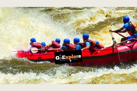 Victoria Falls: National Park Game drive Small Group Tour