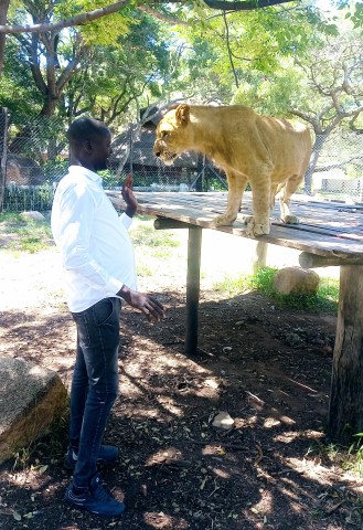 Visit Harare Layover Tours , Safaris &Vacation in Harare