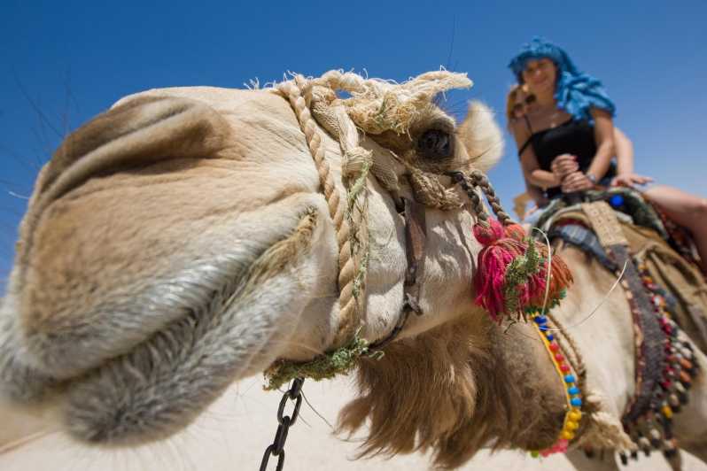 Hurghada: Jeep & Camel Safari with Dinner & Desert Fire Show