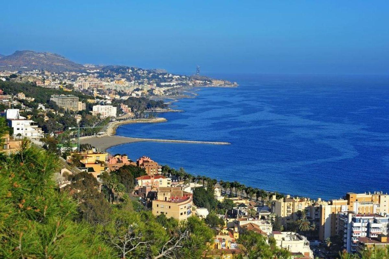 مالقة: جولة سياحية خاصة لمدة ساعتين أو نصف يومجولة مالقة لمدة ساعتين