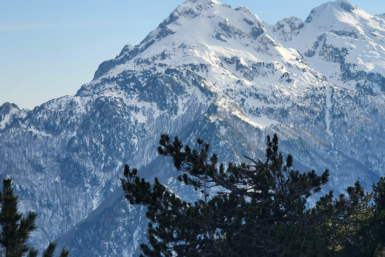 From Tirana/Durres : Day Tour to Theth,Shkoder & Blue Eye From Tirana/Durres : Day Tour to Theth,Shkoder & Blue Eye