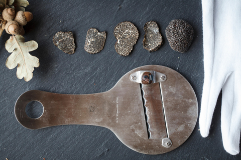 Discover the secret world of truffles