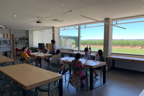 Aranda de Duero: Martín Berdugo Winery - Tour and Tasting