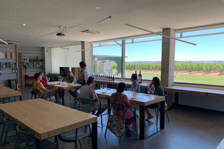 Aranda de Duero: Martín Berdugo Winery - Tour and Tasting