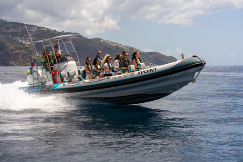 Funchal: Crociera in gommone per avvistare le balene e nuoto facoltativo con i delfiniEsclusivo: Viaggio privato