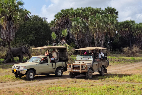 Från Zanzibar: Dagsafari till Selous Game Reserve med flyg