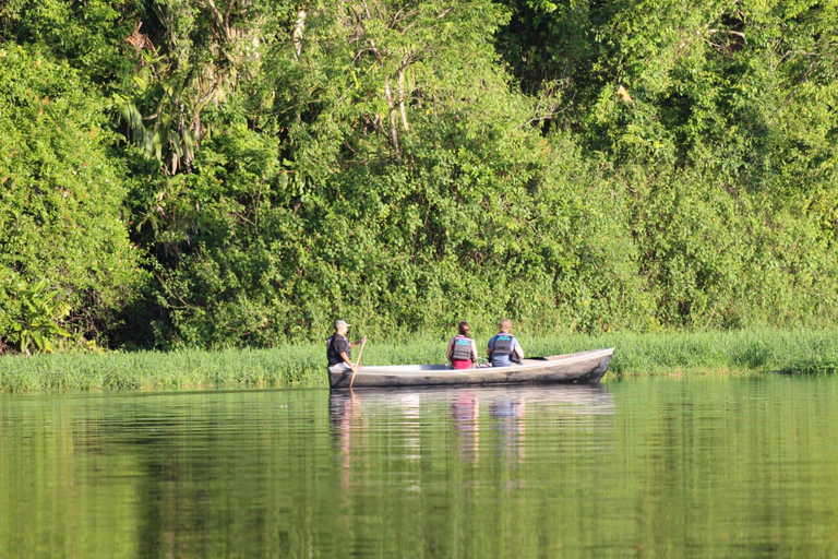 From SanJosé: 3-Day Tortuguero National Park Tour with Meals