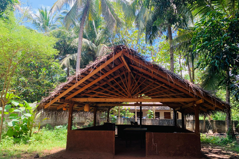Anuradhapura: clase de cocina tradicional de roti de coco frescoAnuradhapura: Clase de cocina tradicional de roti de coco fresco