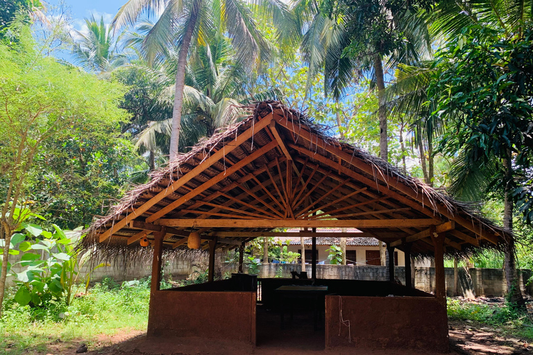 Anuradhapura: clase de cocina tradicional de roti de coco frescoAnuradhapura: Clase de cocina tradicional de roti de coco fresco