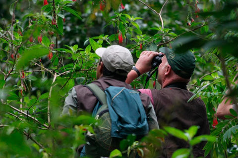 In-Depth Amazon Experience - 4 Days inside Rainforest