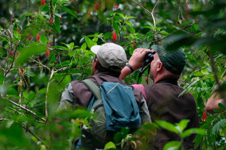 Aventure de 4 jours dans la forêt amazonienne