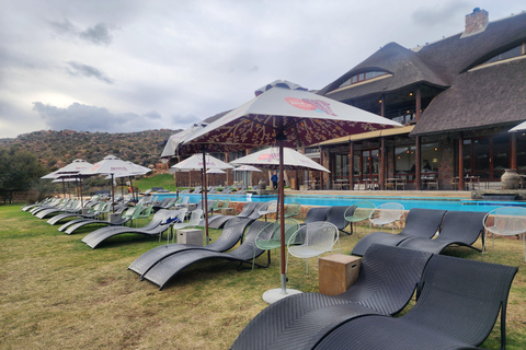 Cape Town: Aquila big five safari with transport, & lunch