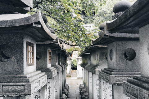Nara: descubra un gigantesco Buda de piedra en las colinas boscosasNara: descubre un gigantesco Buda de piedra en las colinas boscosas