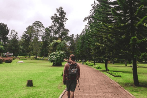 Escapadela de lua de mel encantadora de 8 dias&quot;