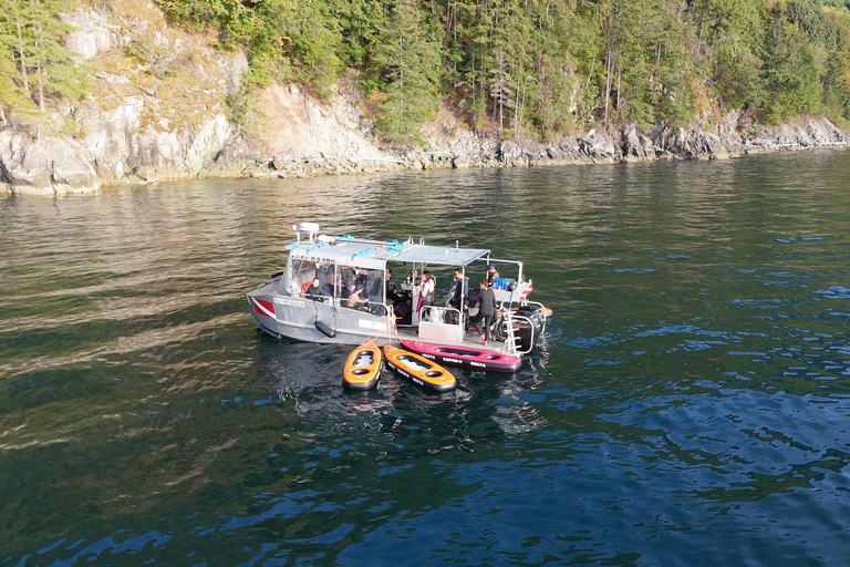 Snorkel Focas Remando Vida Salvaje Tour en barco en Vancouver