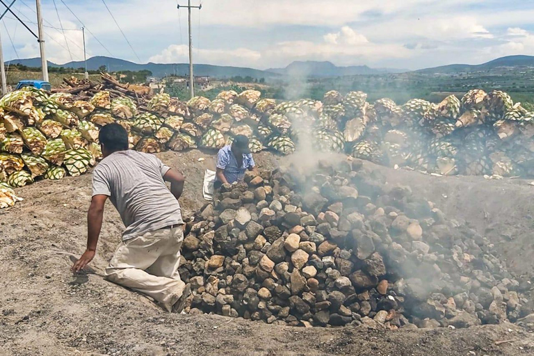 Oaxaca: tour delle radici zapoteche, del mezcal e dei tessuti