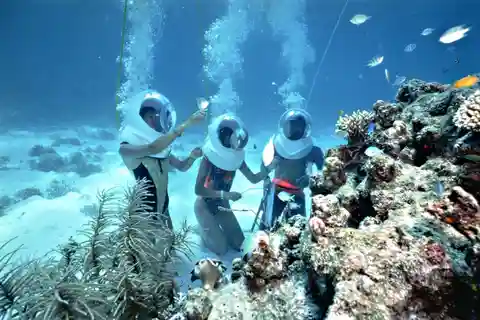 Desde Da Nang: Excursión a la isla de Cham y buceo con tubo