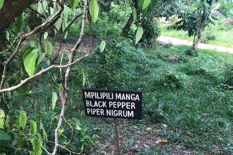 Zanzibar : Stone Town, visite des épices et de l'île prison avec déjeunerVisite privée