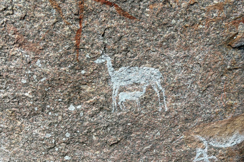Maputo: Mkhuzweni Rock Art Site Day Tour