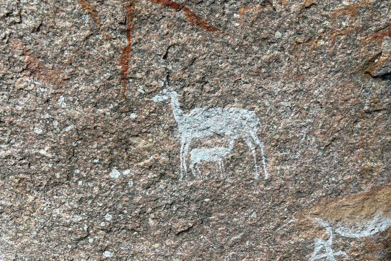 Maputo: Mkhuzweni Rock Art Site Day Tour