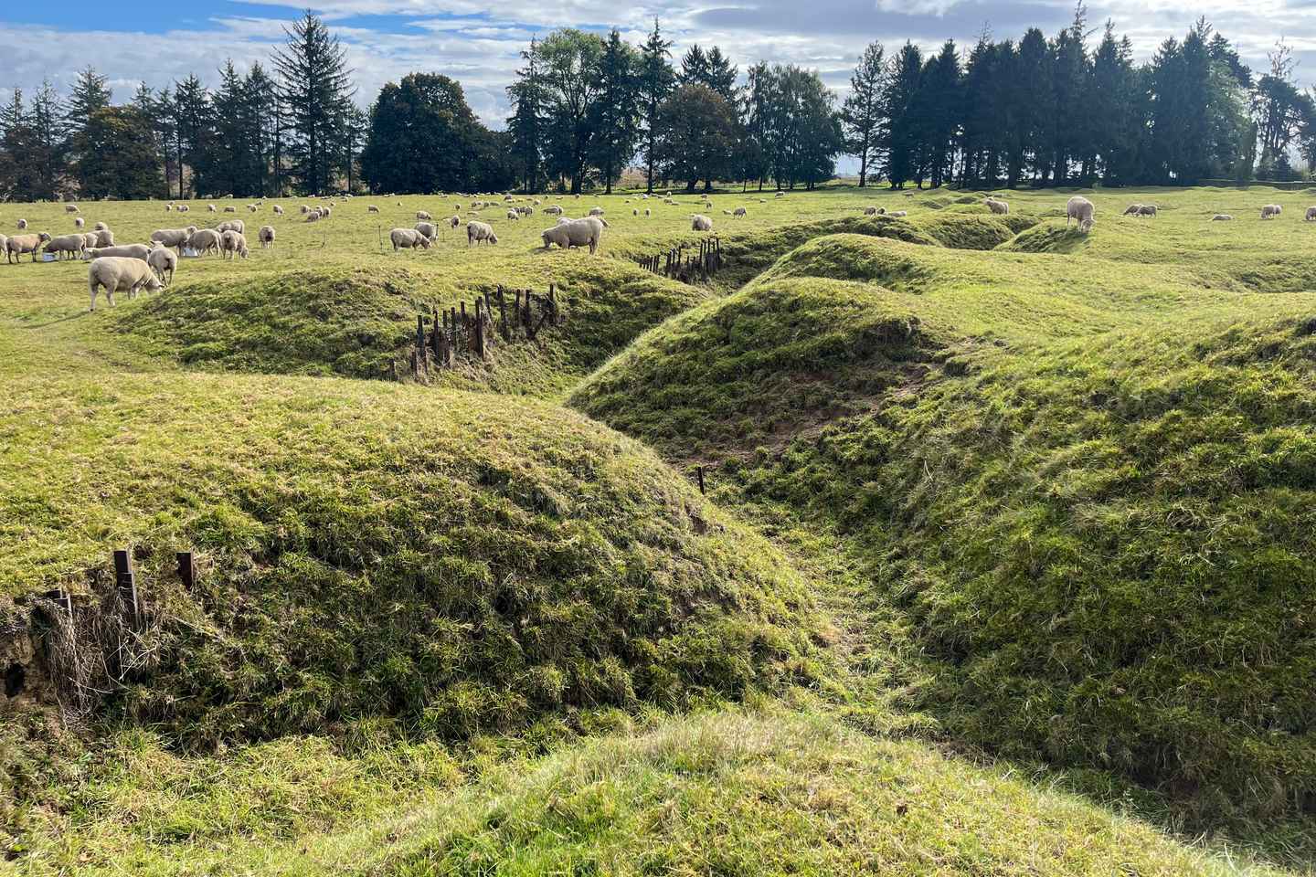 From Paris : WWI Somme Battlefields with Licensed Guide
