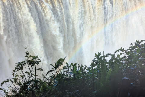 Victoria Falls Zimbabwe: Guided Walk for First-Time Visitors